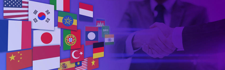 外贸SEO小语种网站建设  第2张